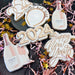 Happy New Year - Digital Download, Cutter and/or Artwork - The Cookie Countess