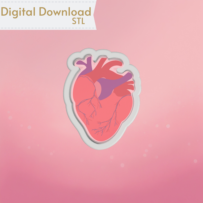 The Cookie Countess Digital Art Download Anatomical Heart Cookie Cutter STL